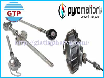 cam-bien-nhiet-do-pyromation-r1t185h483-012-00-6hn34-tai-viet-nam-1