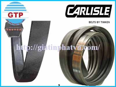 dry-can-belt-timken-carlisle-cc330s-cc540s-cc600s-cc640s-cc840s-in-viet-nam-1