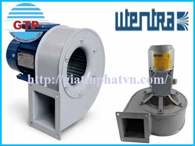 quat-ly-tam-utentra-quat-huong-truc-utentra-tai-viet-nam