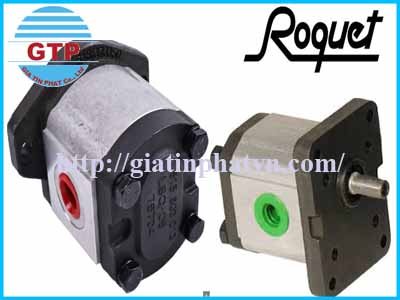 roquet-gear-pump-1plc150de10m-in-viet-nam